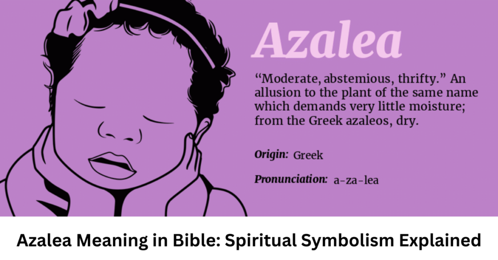 Azalea Meaning in Bible: Spiritual Symbolism Explained