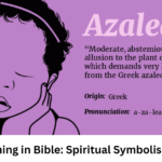 Azalea Meaning in Bible: Spiritual Symbolism Explained