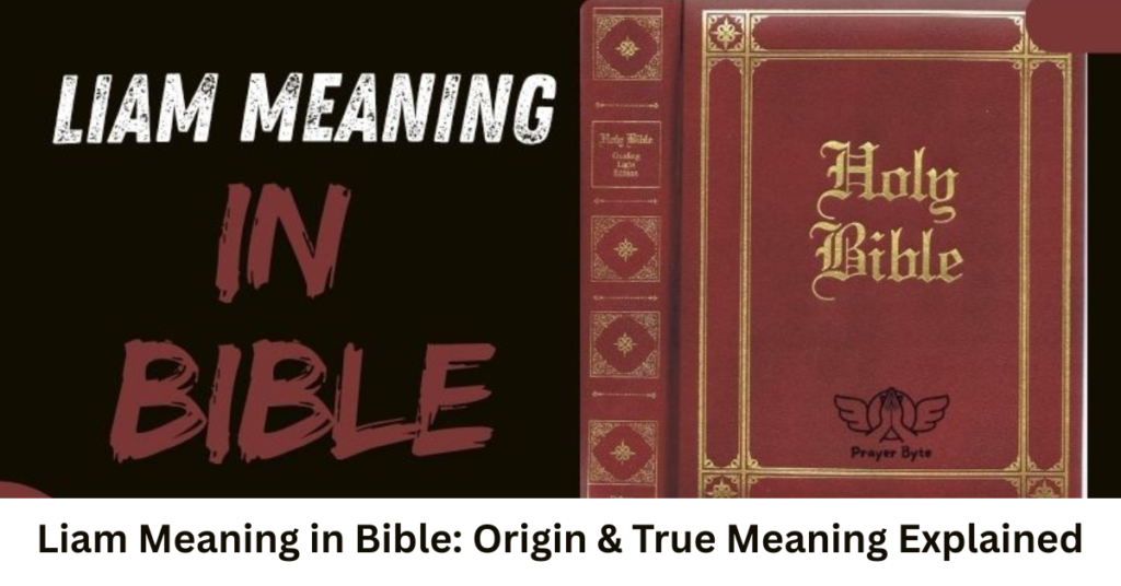 Liam Meaning in Bible: Origin & True Meaning Explained