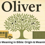 Oliver Name Meaning in Bible: Spiritual Origin & Symbolism