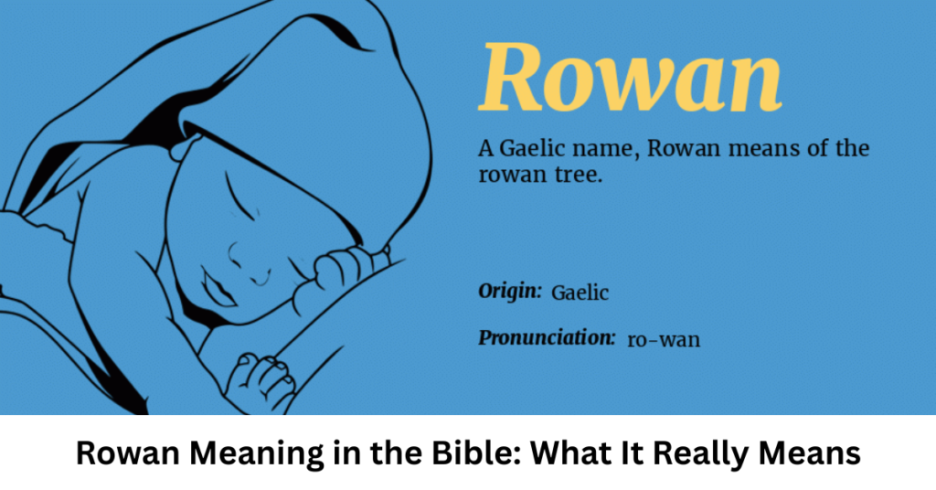 Rowan Meaning in the Bible: What It Really Means
