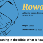 Rowan Meaning in the Bible: What It Really Means