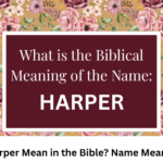 What Does Harper Mean in the Bible? Name Meaning Explained