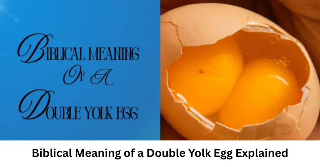 Biblical Meaning of a Double Yolk Egg Explained